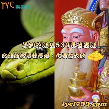 https://www.bet688.com.tw/夢到蛇號碼539要簽幾號，命理師揭這種夢境：代表發大財